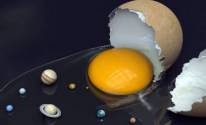 Мир из яйца