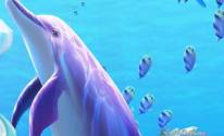 Дельфин под водой