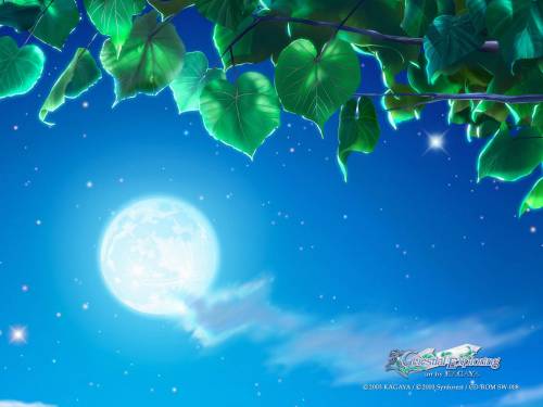 Ночное небо с луной - 3D