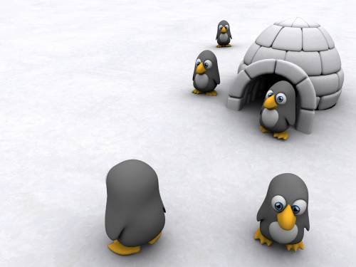 3D картинка с пингвинами - 3D