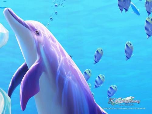 Дельфин под водой - 3D