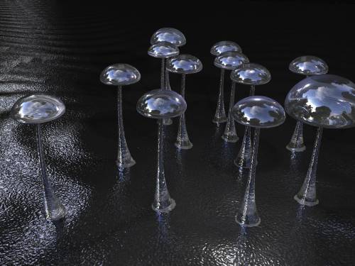 Прозрачные грибы - 3D