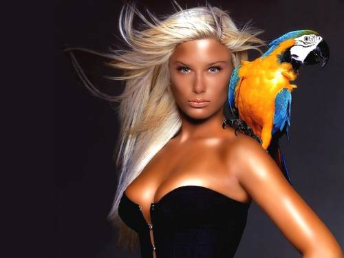 Девушка с попугаем на плече - Девушки