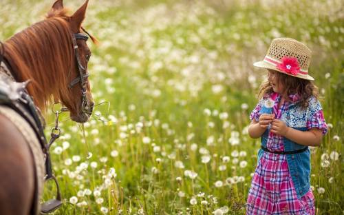 Лошадь, поле, ребенок - Дети