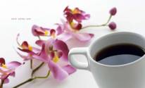 Цветок и чашка кофе
