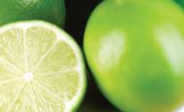 Зеленый лимон в разрезе