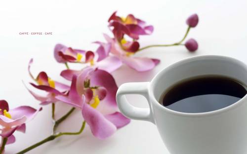 Цветок и чашка кофе - Еда