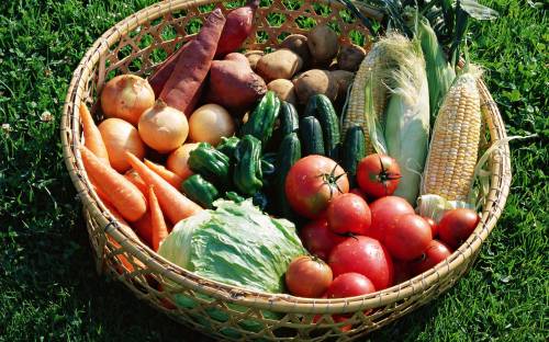 Помидоры, овощи, огурцы, капуста - Еда