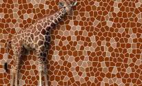 Прикольный жираф