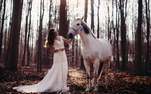 Девушка, конь, лес - Животные