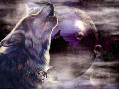 Волк воет на луну - Животные