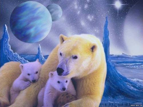 Картина белые медведи - Животные
