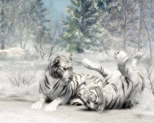 Тигры зимой - Животные