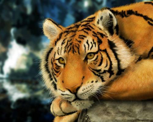 Красивый, тигр, отдых - Животные