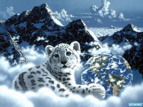 Белый тигренок - Животные