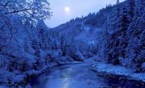 Природа зимней ночи