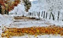 Осенняя дорога под снегом