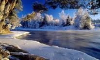 Красоты зимней природы