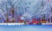 Природа, снег, река, мост