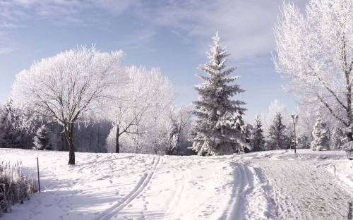 Картинка с зимней природой - Зима