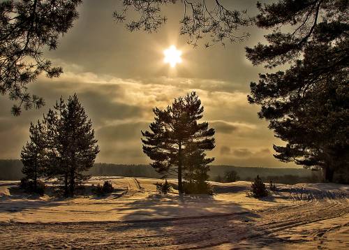 Природа, солнце, закат, деревья - Зима