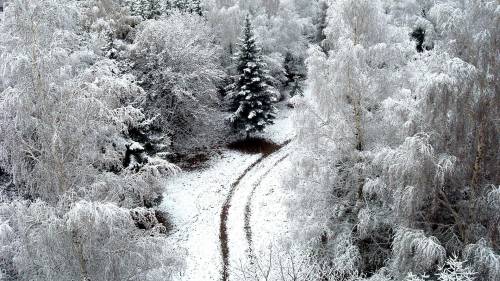 Фото над лесом - Зима