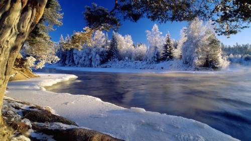 Красоты зимней природы - Зима