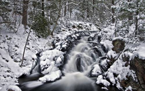 Ручей через лес, снег - Зима