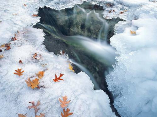 Фото проталина - Зима