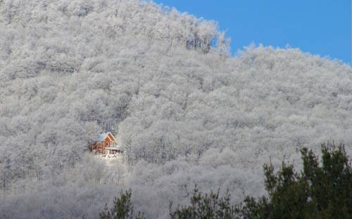 Зимний дом в лесу - Зима