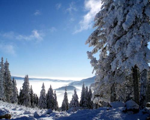 Зимние фото природы - Зима