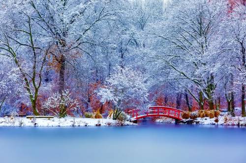 Природа, снег, река, мост - Зима
