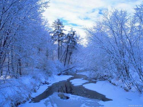 Зимний ручей - Зима