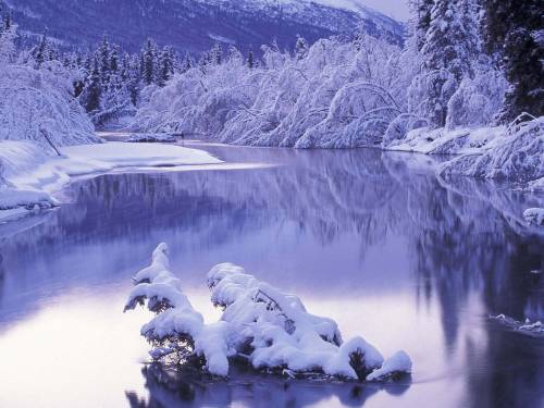 Природа под снегом - Зима