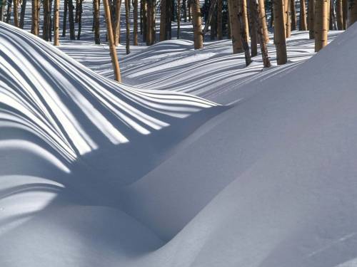Снежные сугробы в лесу - Зима