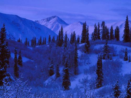 Ночь в горах - Зима