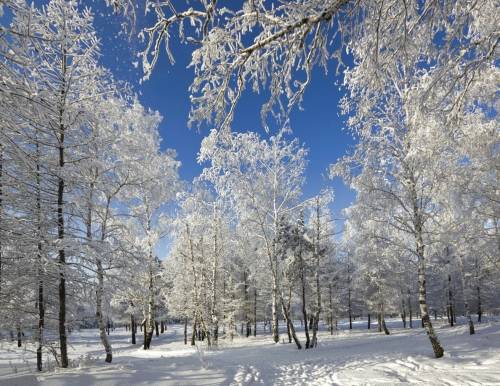 Красивые фото зимы - Зима