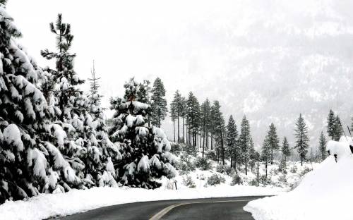 Фото зимняя дорога - Зима