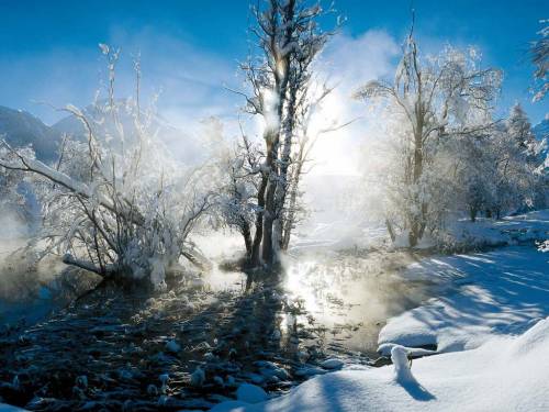 Природа в лучах солнца - Зима
