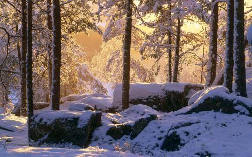 Фото зимней природы - Зима