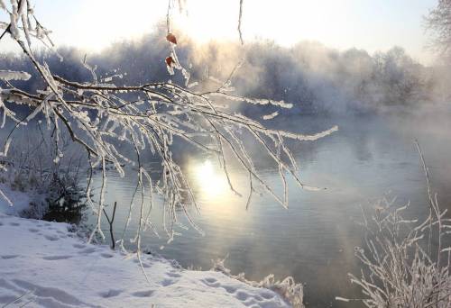 Фото зимний рассвет - Зима