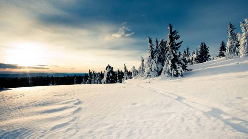 Фотография шикарной зимы - Зима