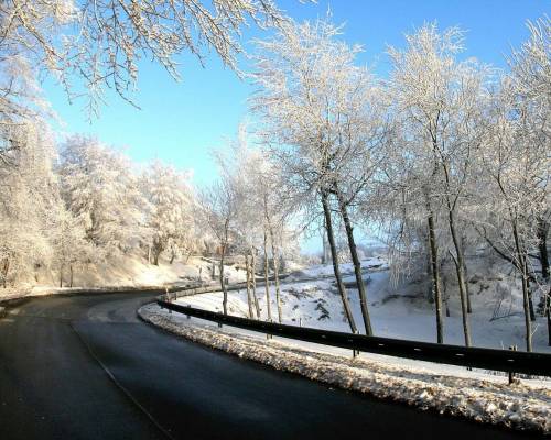 Дорога вдоль леса - Зима