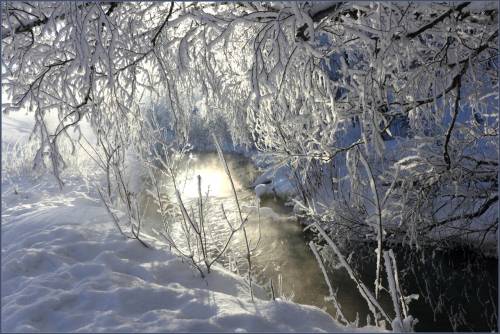 Зимний ручей - Зима