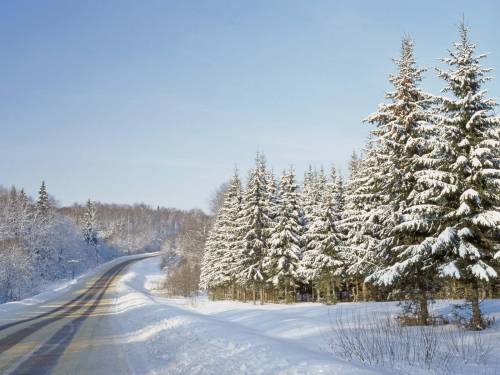 Дорога через зимний лес - Зима