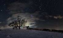 Поле, зима, дерево, ночь