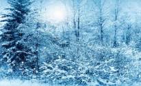 Фото, зима, природа