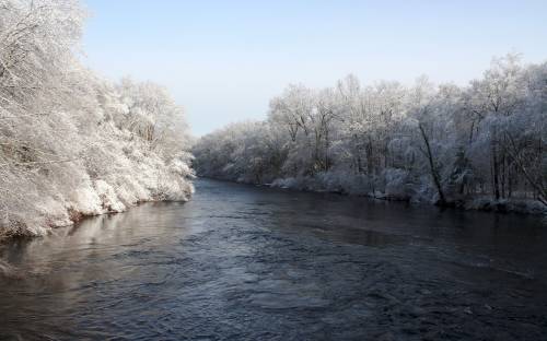 Река, деревья, зима - Пейзажи