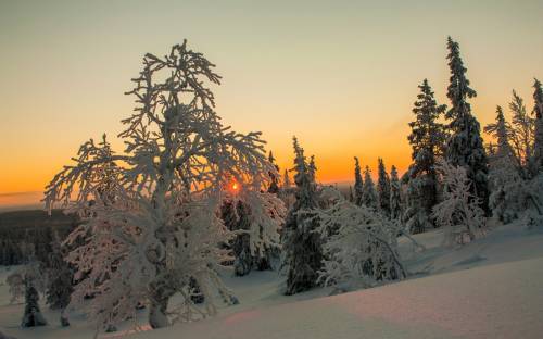 Лапландия, финляндия, зима - Пейзажи