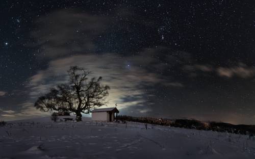 Поле, зима, дерево, ночь - Пейзажи